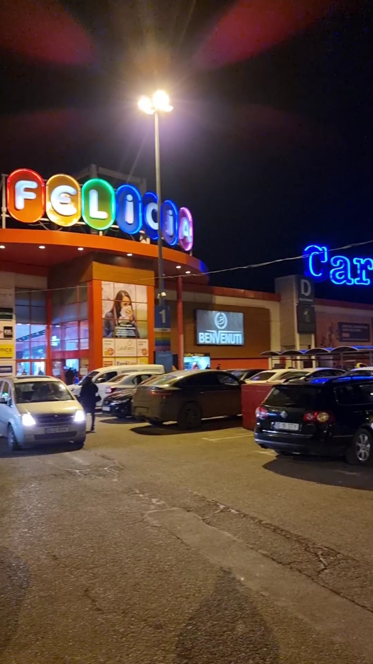 Floralux Carrefour Felicia